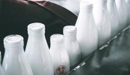 Старт экспериментального проекта «маркировка молока и молочной продукции» в России запланирован на лето этого года